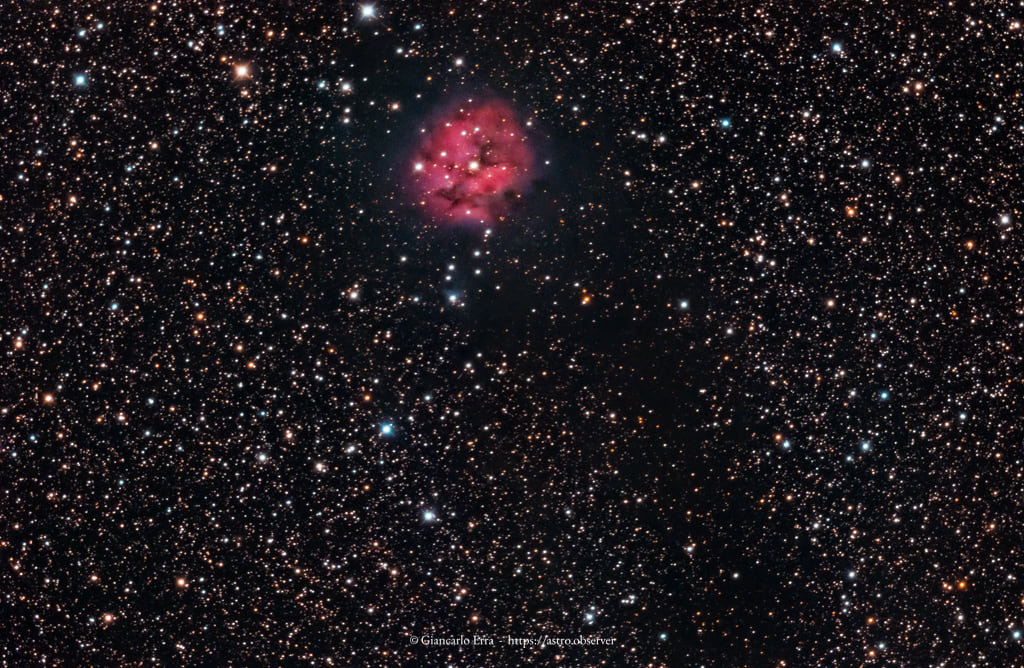 Cocoon Nebula (IC 5146)