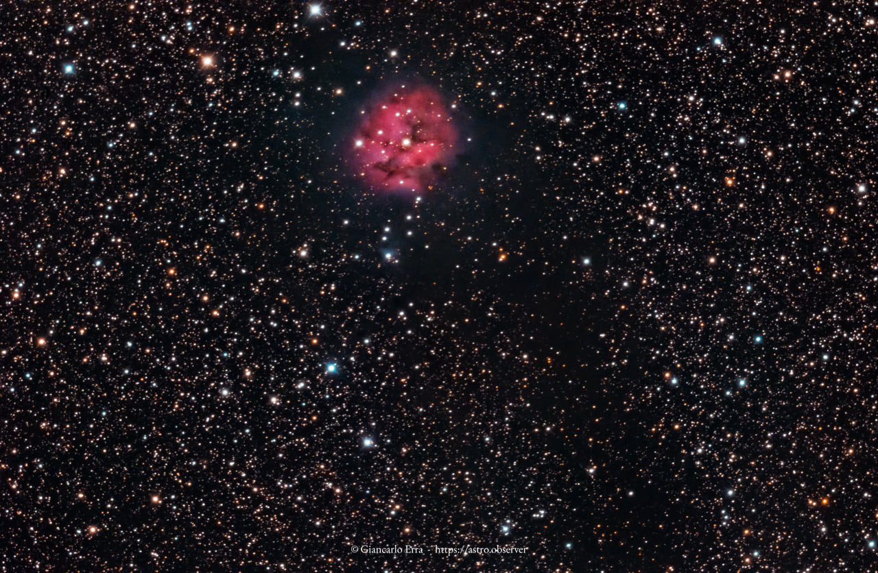 Cocoon Nebula (IC 5146)