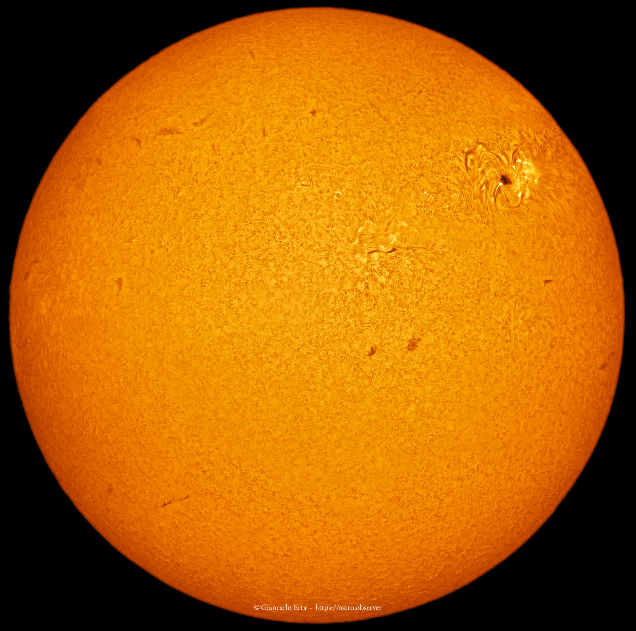 Sun disc in hydrogen alpha