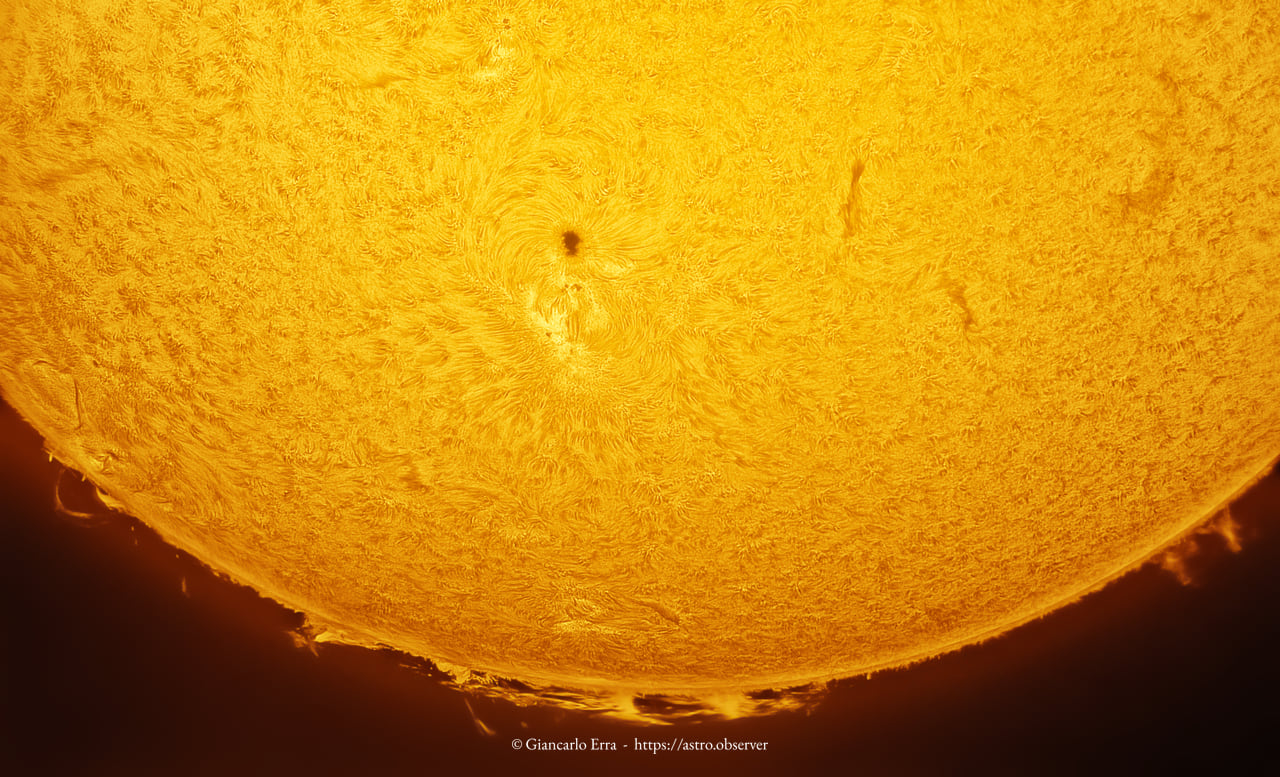 Sun in H-Alpha Prominences