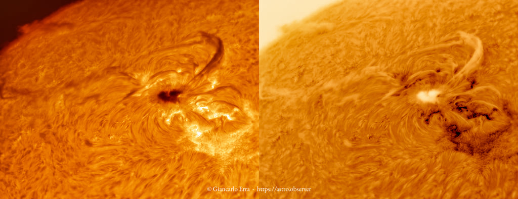Sun in hydrogen alpha: heart shaped sunspot AR2529