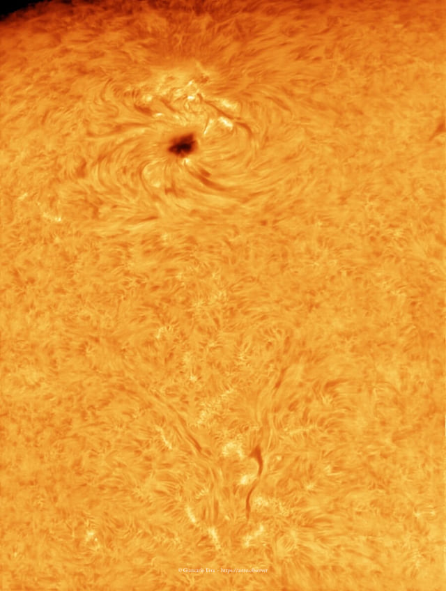 Sun in hydrogen alpha: sunspot AR2529 and surroundings
