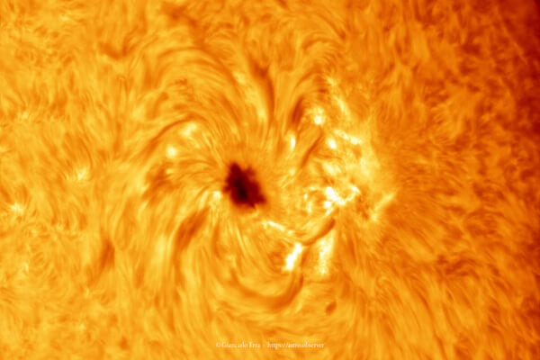 Sun in hydrogen alpha: sunspot AR2529